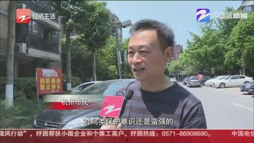 四川红哥爆料最新消息新闻,揭秘四川某重大新闻事件内幕 第3张 四川红哥爆料最新消息新闻,揭秘四川某重大新闻事件内幕 第3张